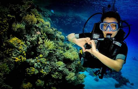 discover scuba diving Hurghada diving Center | Diving star