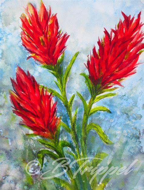 Watercolor Art & Collectibles Painting Signed Watercolors Indian Paintbrush Mexican Hat Texas ...