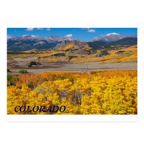 Colorado Scenic Foliage Postcard | Zazzle