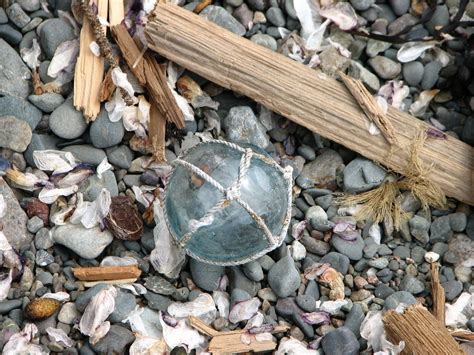 beachcombing | Lighthouse Memories | Lighthouse, Beachcombing finds, Color