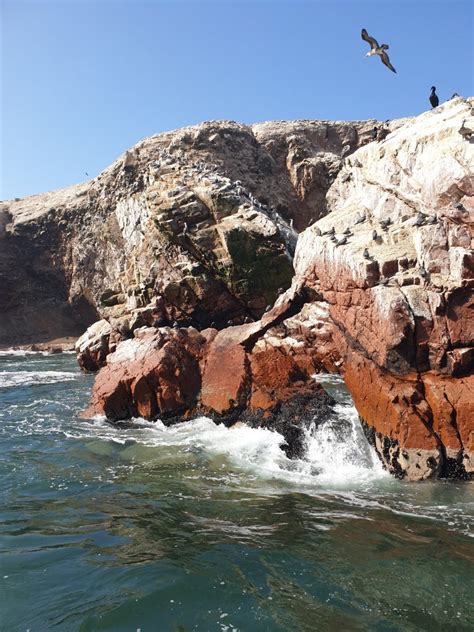 Ballestas Island - Peru - Owen Deutsch Photography