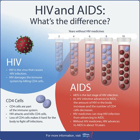 HIV and AIDS: What’s The Difference? | HIVINFO