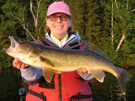 Top Five Walleye Fishing Tips | Walleye fishing tips, Walleye fishing, Lake fishing