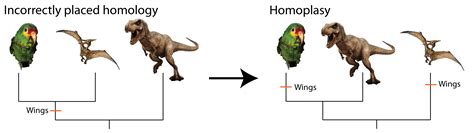 Homology – Time Scavengers