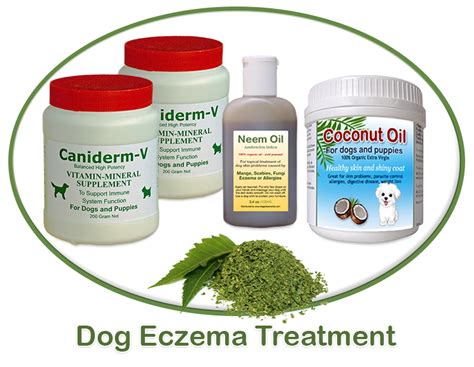 Dog Eczema