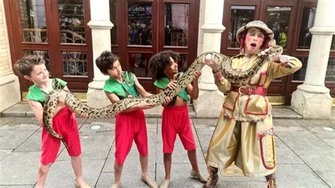 Watch: The Jungle Book Gaiety panto promises 'usual extravaganza' with added surprises - Dublin Live