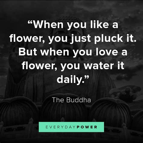 Buddha Love Quotes