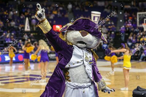 Lsu Mascot Mike Tiger Pumps Crowd Editorial Stock Photo - Stock Image ...