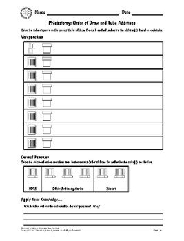 Phlebotomy Order of Draw and Tube Additives with Answer Key | TPT