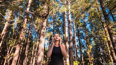 Stressed? Listen to Soothing Nature Sounds - The Fitness India Show