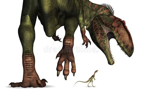 Dinosaur Size Comparison - Huge to Tiny. A tiny Compsognathus dinosaur looks up , #Affiliate, # ...