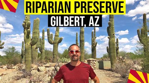 Gilbert, Arizona: Riparian Preserve | Things To Do In Arizona (Gilbert ...