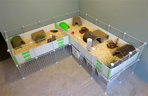 Lovely Guinea Pig Habitat - AT HOME PETS