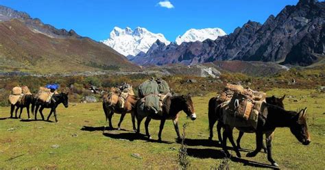 Trekking and hiking in Bhutan - BMV Tours and Treks