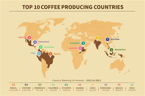 Coffee Production And Export Statistics: New Data On Global Coffee Trade