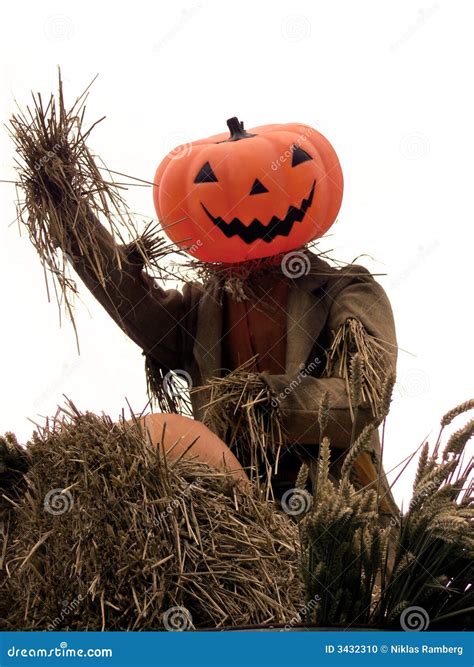 Halloween - Pumpkin Scarecrow Stock Photo - Image: 3432310