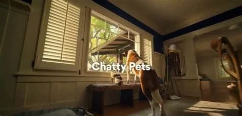 Chewy.com 'Chewy Chatty Pets: Giorgio and Ralph' Ad Commercial on TV 2022 in 2022 | Tv ...