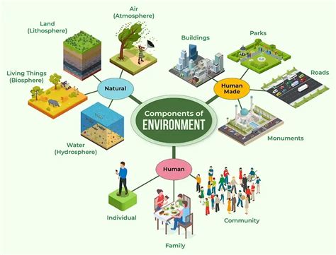 What is Human Environment? - GeeksforGeeks