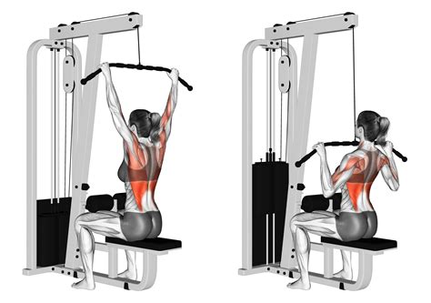 The Lat Pulldown: Benefits, Muscles Worked, Etc. - Inspire US