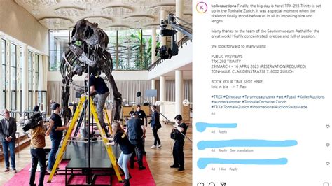 T-Rex skeleton to go up for auction in Switzerland | wfaa.com