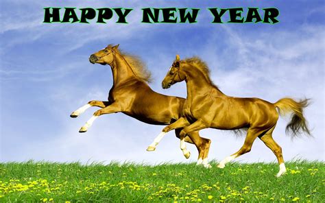 Pin by Kim Adams on Everything Horse | Happy new year, Happy new, Happy