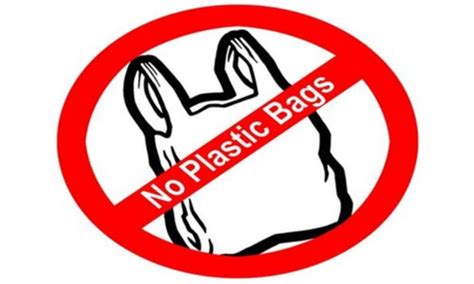 “17 States/UTS have Imposed Complete Ban on Use of Polythene Bags”: Environment Minister - Urban ...