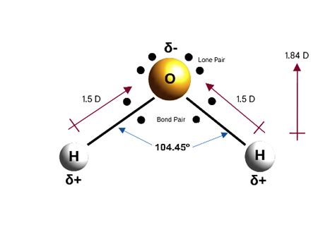 File:Water molecule - structure and dipole moment.png - Wikimedia Commons