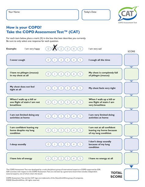 COPD Assessment Test (CAT) Score Interpretation - World OSCAR