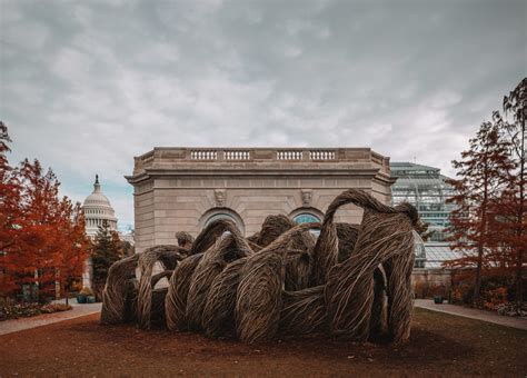 United States Botanic Garden in Washington D.C. (Photos)