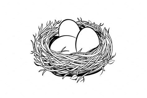 Nest Coloring Sheet Coloring Pages