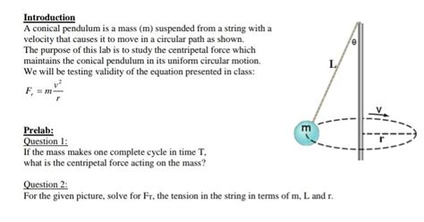 Solved Introduction A conical pendulum is a mass (m) | Chegg.com