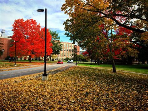 University of Maine Campus; Orono, Maine - Study Breaks