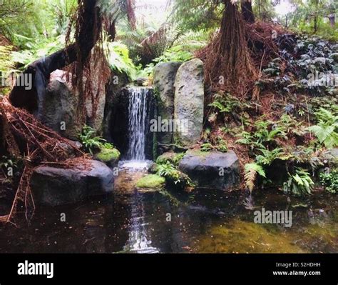 Forest gallery Melbourne museum / waterfall and forest Stock Photo - Alamy