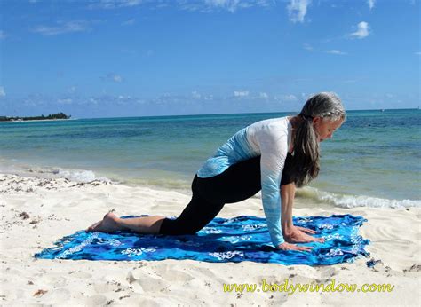 16+ Yin Yoga Dragon Pose Benefits | Yoga Poses