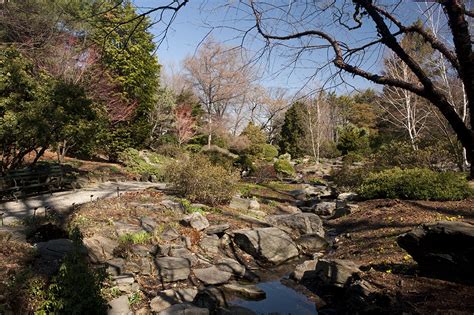 The Rock Garden – Plant Talk