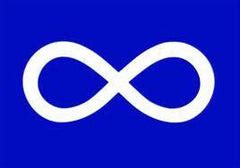 Metis Native Flag – Indigenous Peoples Resources