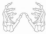 Free Skeleton Hand Cliparts Download Png  sketch template