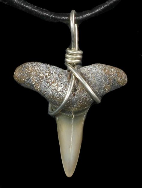 Fossil Lemon Shark Tooth Necklace For Sale (#47580) - FossilEra.com