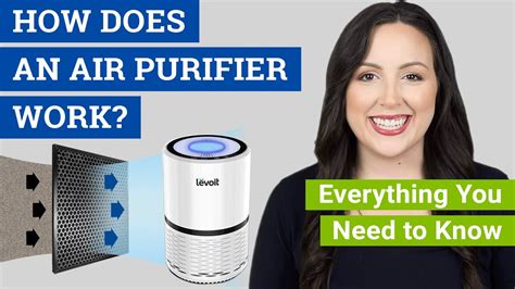 How Does an Air Purifier Work? (Do Air Cleaners Really Work to Remove Dust, Mold and Allergens ...