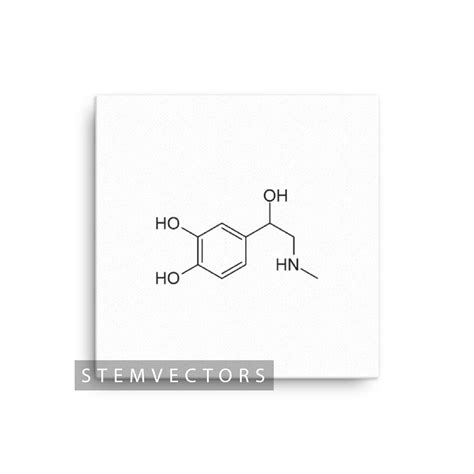 Epinephrine Chemical Structure digital Download Black and - Etsy