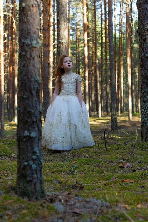 Little Girl Walks in a Summer Forest in a Dress Stock Image - Image of ...