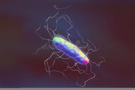 Bacterium with Pilli and Flagella Stock Illustration - Illustration of pilli, cells: 90813204