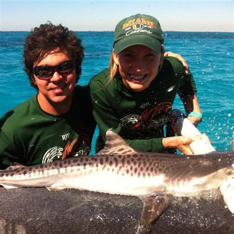 Baby tiger shark – Shark Research & Conservation Program (SRC) | University of Miami