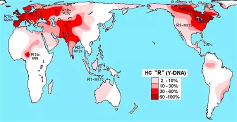 Who came to India first, the Indo-Aryans or the Dravidians? - Quora