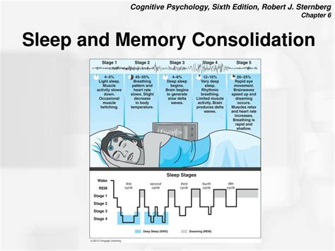 PPT - Chapter 6: Memory Processes PowerPoint Presentation, free ...