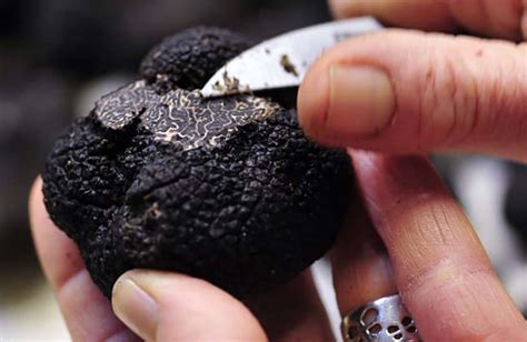 Sunday musings: Black truffles, Google maps update, Airline credit card offers, Air Passenger ...