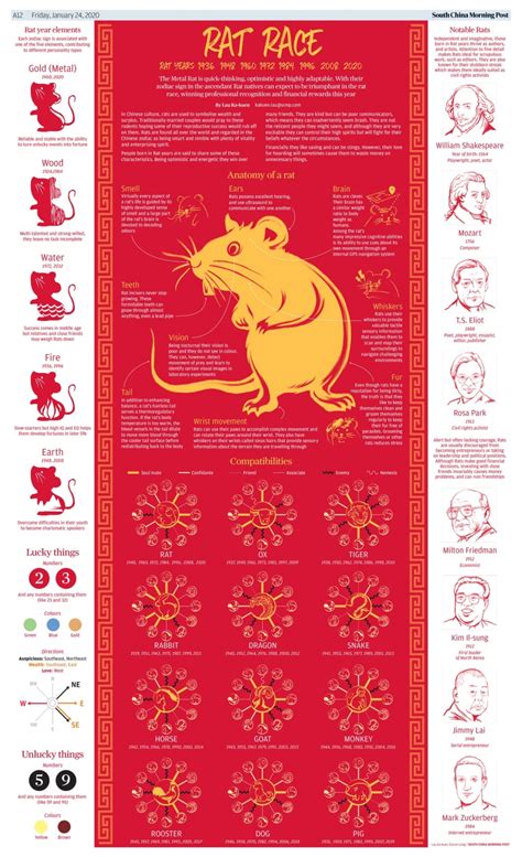 Year of the Rat Infographic | Presentational.ly