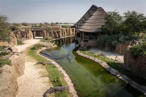 Sharjah Safari to reopen on September 21