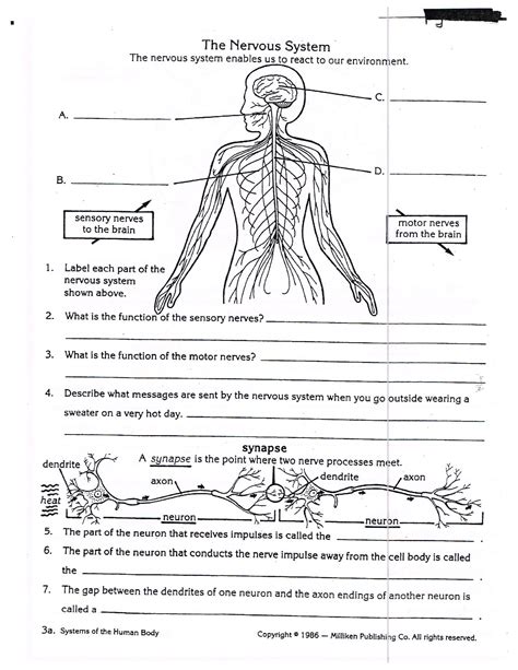 Teach child how to read: Skeletal System Grade 5 Science Worksheets ...