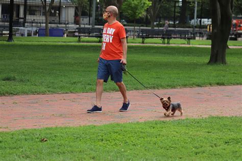 23.LafayettePark.WDC.27August2020 | Man walking dog at Lafay… | Flickr